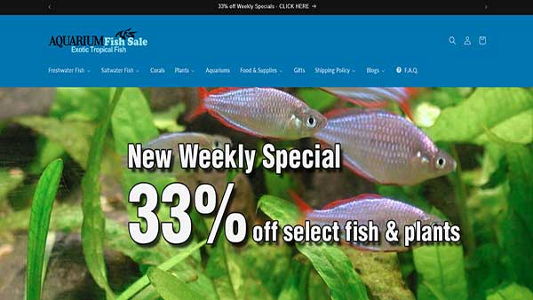 Homepage image of the website AQUARIUM Fish Sale