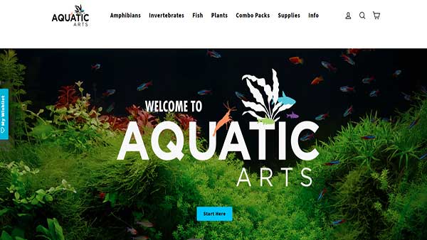 Homepage image of the website AQUATIC ARTS