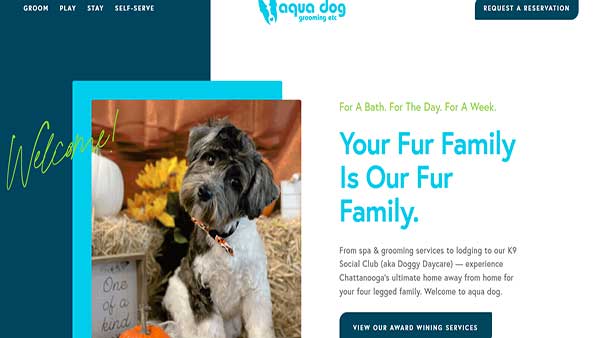 Home page image of the pet Grooming website Aqua Dog Grooming