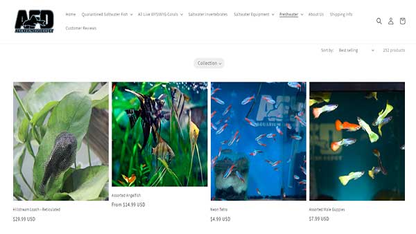 Homepage image of the website Aquarium Fish depot