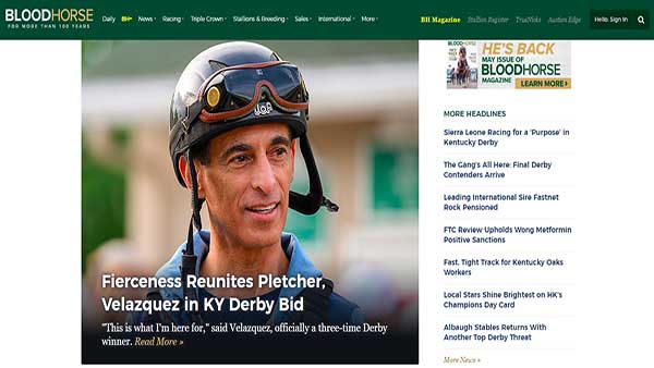 Homepage screenshot of the website Blood Horse- Best for Equine resources