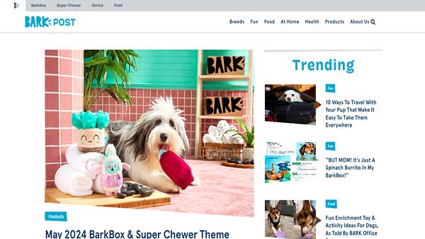 Home Page image of the Pet Content Website Bark Post