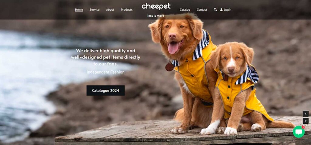 Home page image of the Pet clothes brand's website for the review Section