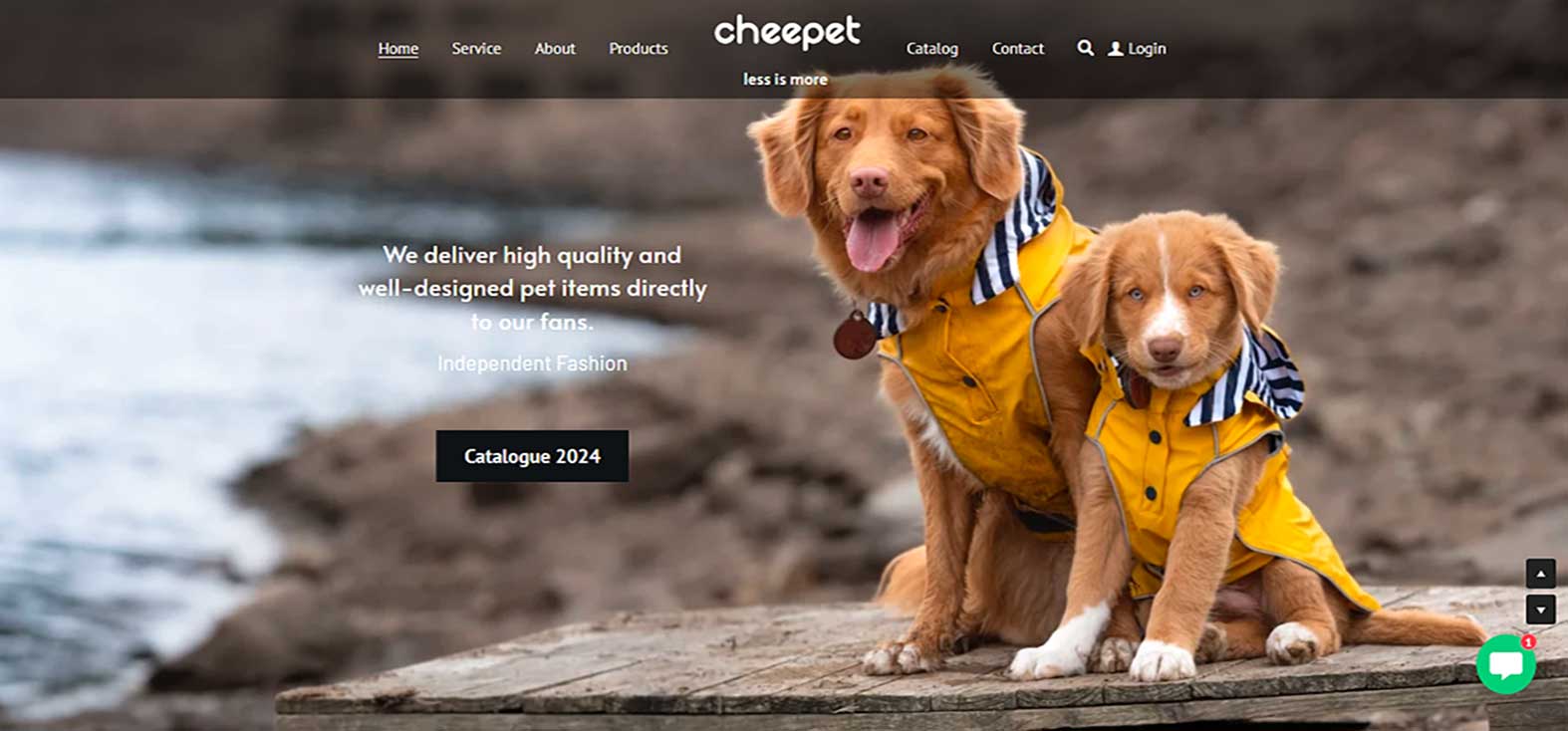 Home page image of the Pet clothes brand's website for the review Section