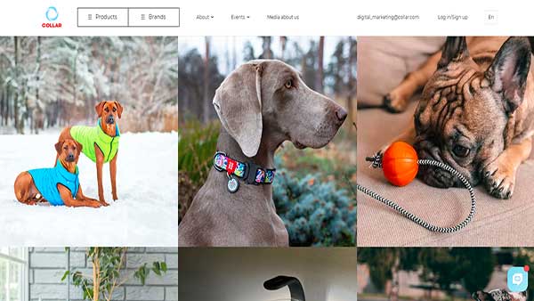 Homepage image of the website Collar Company- Pet accessories 
