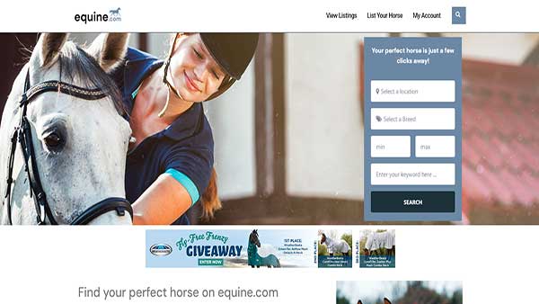 Homepage image of the website Equine