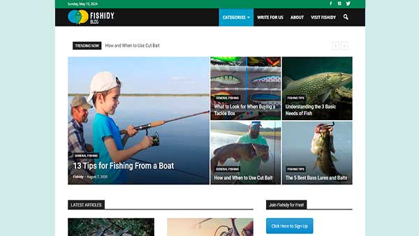 Homepage image of the blog Fishidy