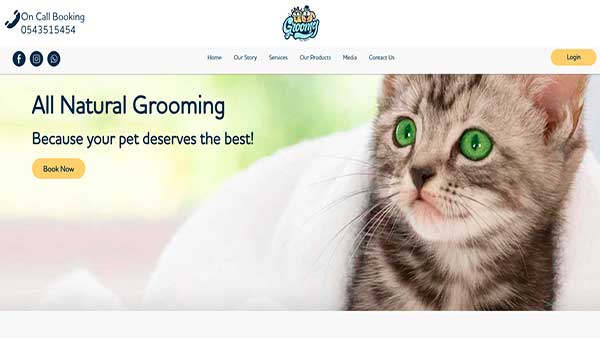Homepage image of the website GROOMY Pet- Pet grooming 
