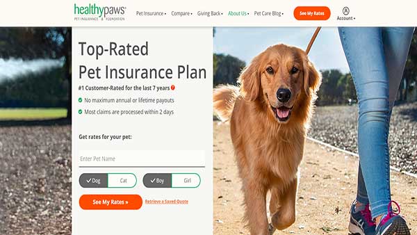 Home page image of the Pet insurance website HealthyPaws Pet Insurance
