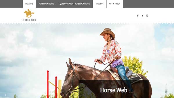 Homepage image of the website Horse Web-number one resource for all things related to horses and horseback riding