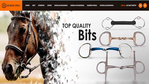 Homepage image of the website Horse Pro