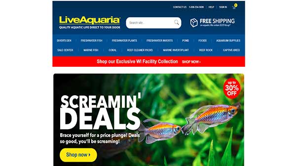 Homepage image of the website LiveAquaria