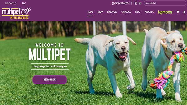 Homepage image of the website MultiPet