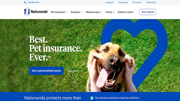 Homepage Image of the website Nationwide- Pet Insurance company