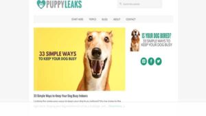 Homepage image of the blog PuppyLeaks. The blog highlights the content about dog breeds and tips & advice on how to live a happier, healthier life with their dogs.