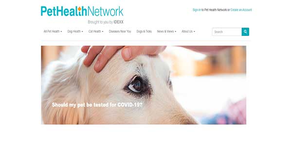 Home page image of the pet health website PetHealthNetwork. The website offers Pet Health & Care information.