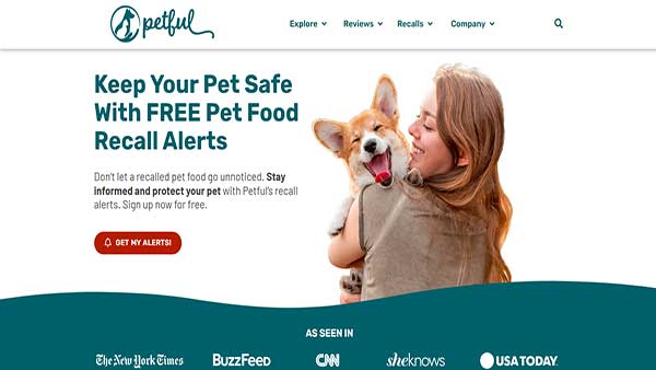 Home page Image of the content website Petful