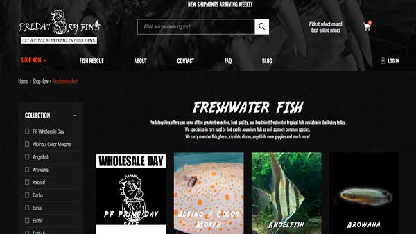 Homepage Screenshot of the website Predatory Fins.