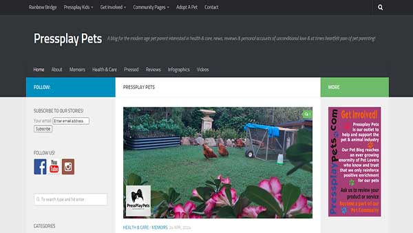 Homepage Image of the website Pressplay Pets 
