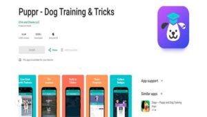 Homepage image of the dog training App- Puppr