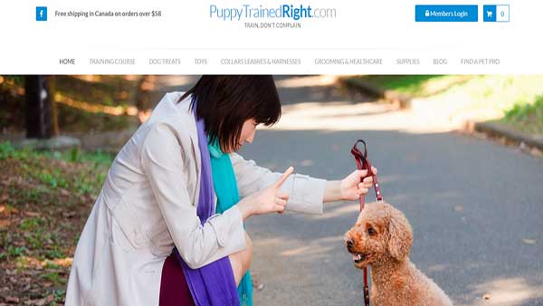 Home Page image of the Pet training website - Puppy Trained Right 