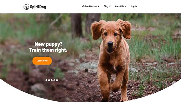 Homepage image of SpiritDog- A pet training website 