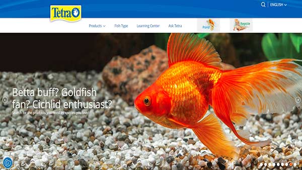 Homepage image of the website Tetra