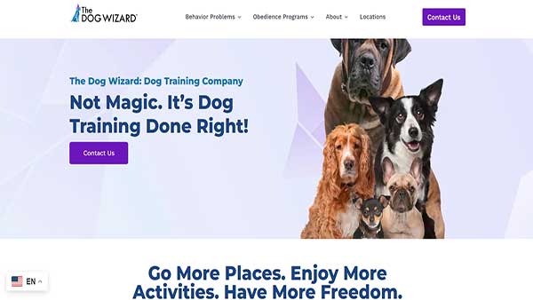 Homepage image of the website The Dog Wizard- Dog Training