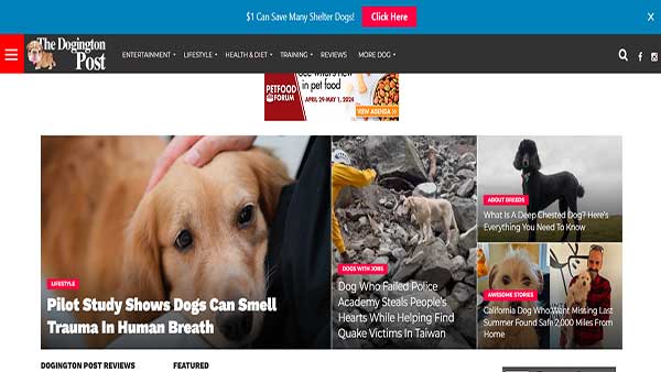 Homepage image of the website The Dogington Post