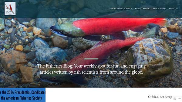 Homepage image of the website The Fisheries Blog