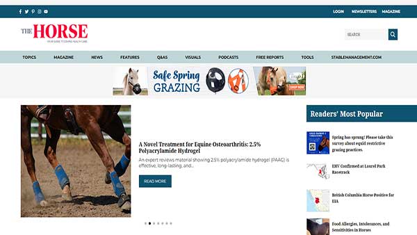 Homepage screenshot of the website The Horse- Guide to Equine Health Care 