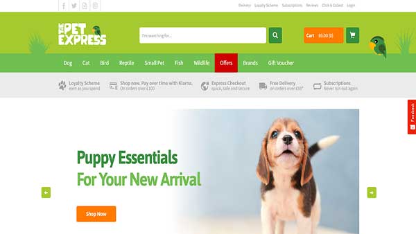 Homepage Image of the website The Pet Express