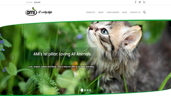 Homepage image of the pet food website Ami Pet food-the Italian-based pet food company. 
