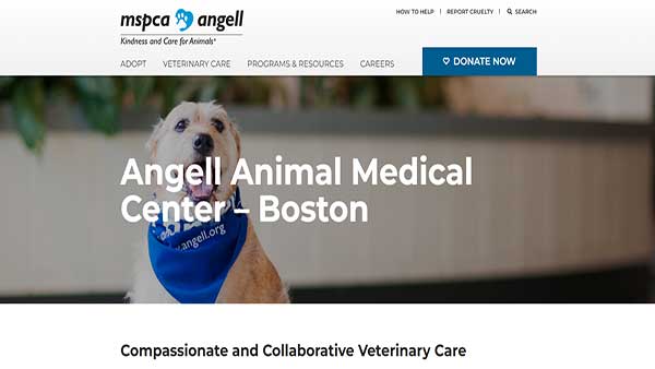 Home Page image of the website MSPCA (Angell Animal Medical Center in Boston)