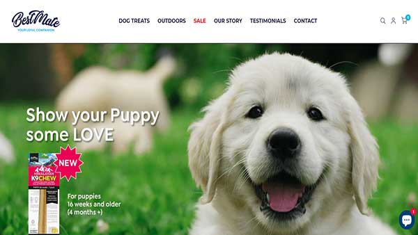 Home Page image of the Pet Food website Best Mate