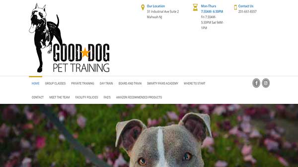 Home Page image of the Pet Training website Good Dog Pet Training