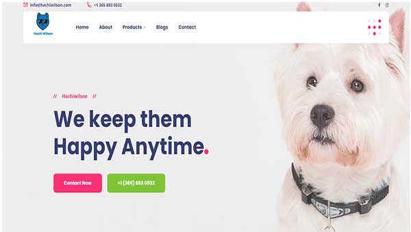Home page image of the Pet Accessories Website Hachi Wilson