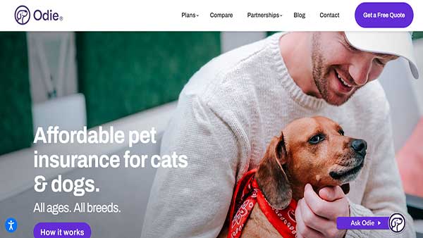 Home Page Image of the Pet Insurance Website Odie