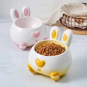 Ceremic Pet Food Bowl 