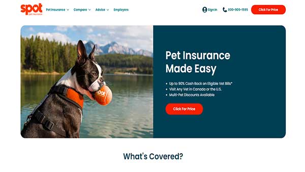 Home Page image of the Pet Insurance company Spot