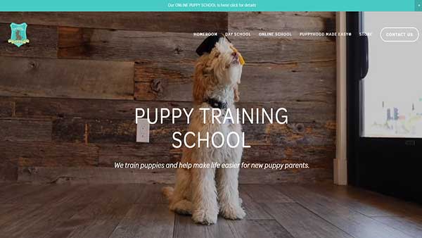 Home Page image of the Pet Training Website The Puppy Academy