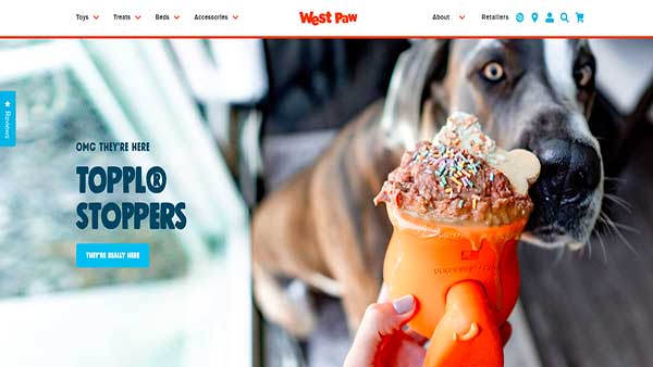 Home Page image of the Pet Accessories website Wet Paw