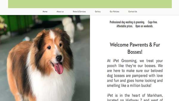 Homepage image of the Pet Grooming website iPet Grooming