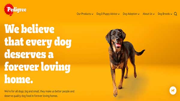 Homepage image of Pedigree - The brand is well-known for wet & dry dog food for all breeds, sizes, and ages. 