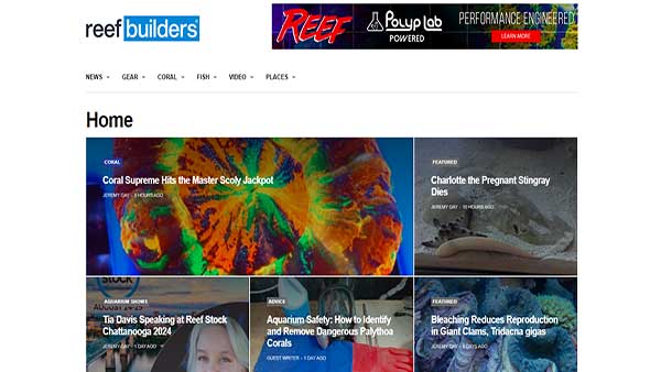 Homepage image of the Fish website Reef Builders. 
