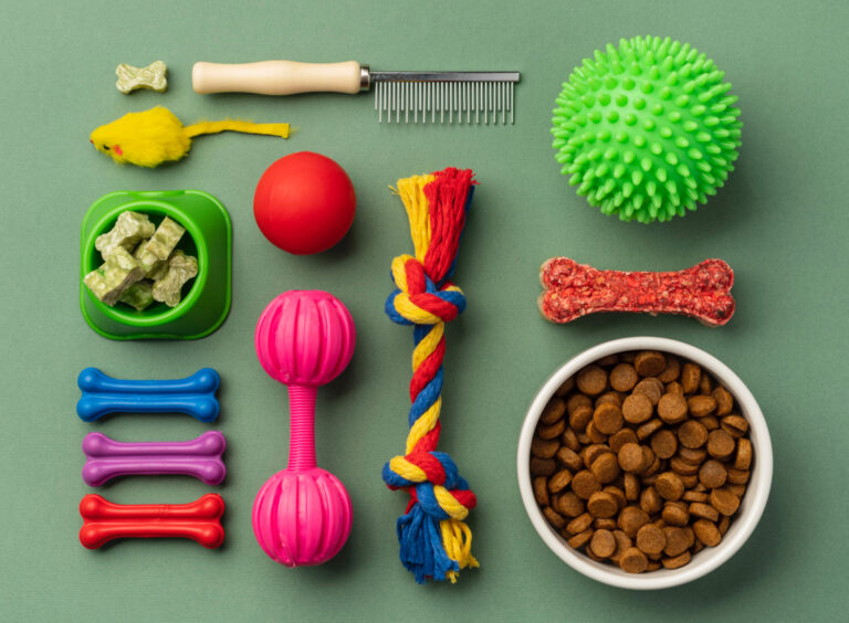 The best dog toys to buy