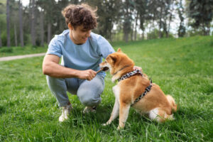 A boy in the blue shirt sitting on grassy ground with his puppy to show how to train a newborn puppy.