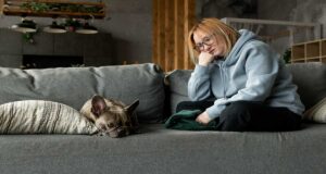 A greyish black Anxious French Bulldog is sitting on a sofa with a woman. The image is to highlight the use of 5 Natural remedies to help calm your anxious pet