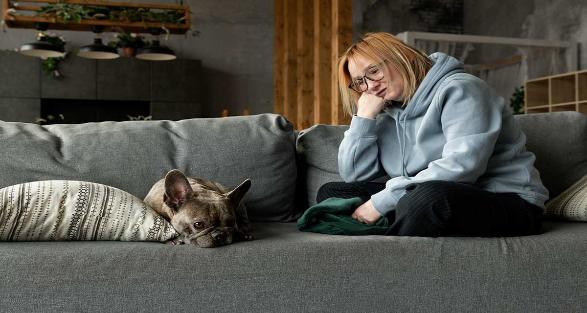 A greyish black Anxious French Bulldog is sitting on a sofa with a woman. The image is to highlight the use of 5 Natural remedies to help calm your anxious pet