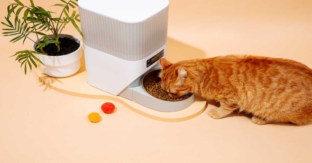 Automatic Pet Feeder: A brown cat is eating from the feeder.